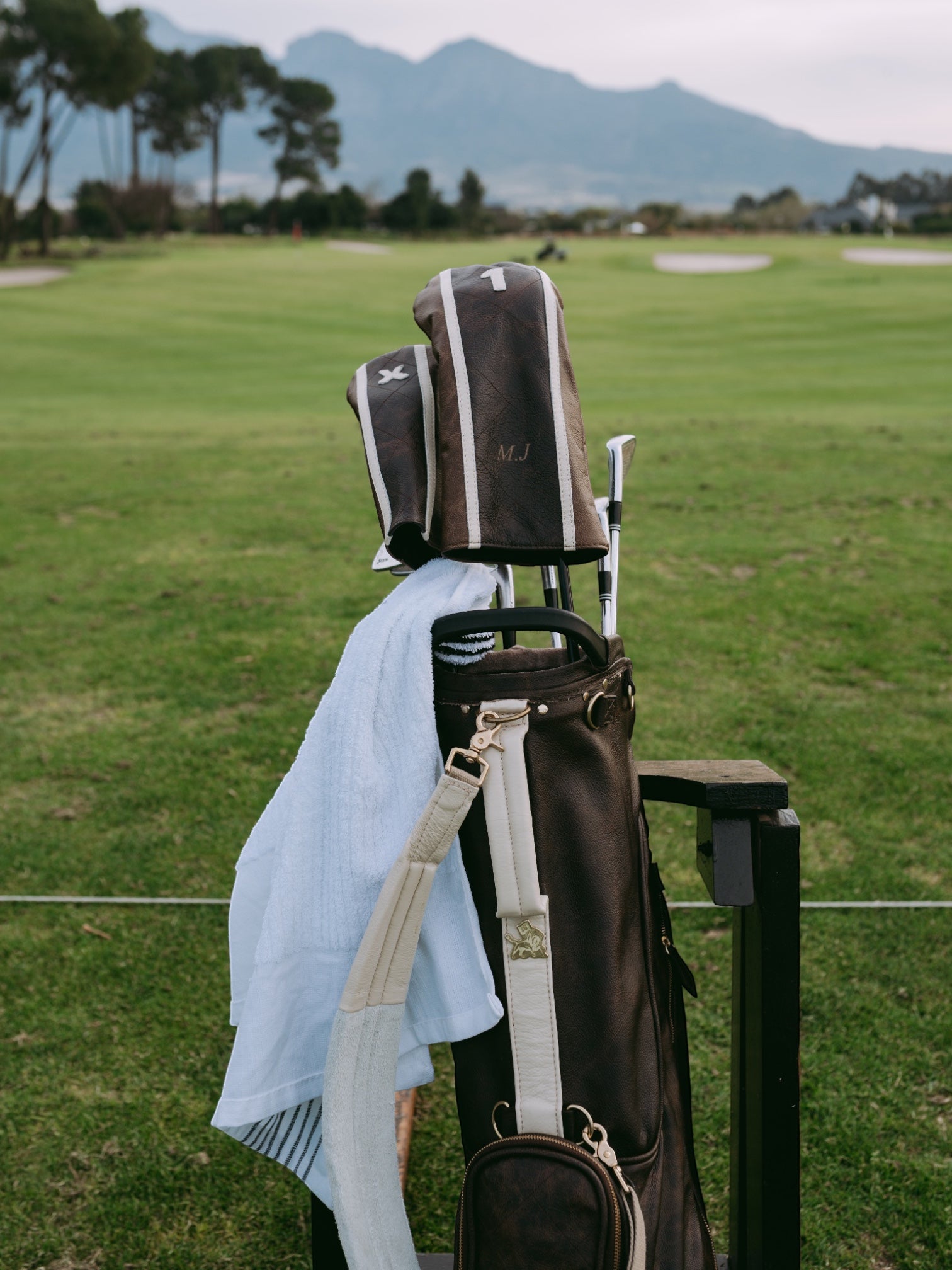 Brown, Cream Trim Leather Sunday Bag golf bag, view 5