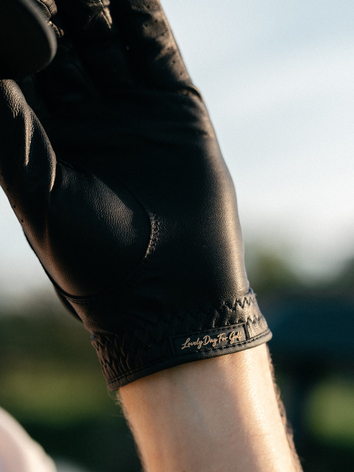 Black glove, view 5