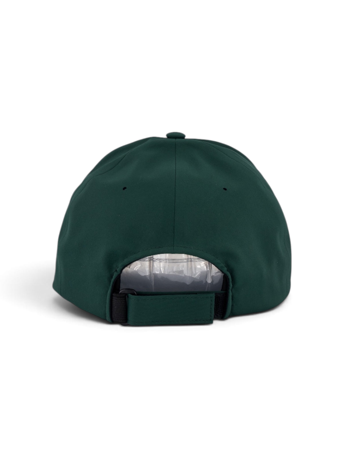 Woven Lion Adjustable cap in green, view 4 #color_Green