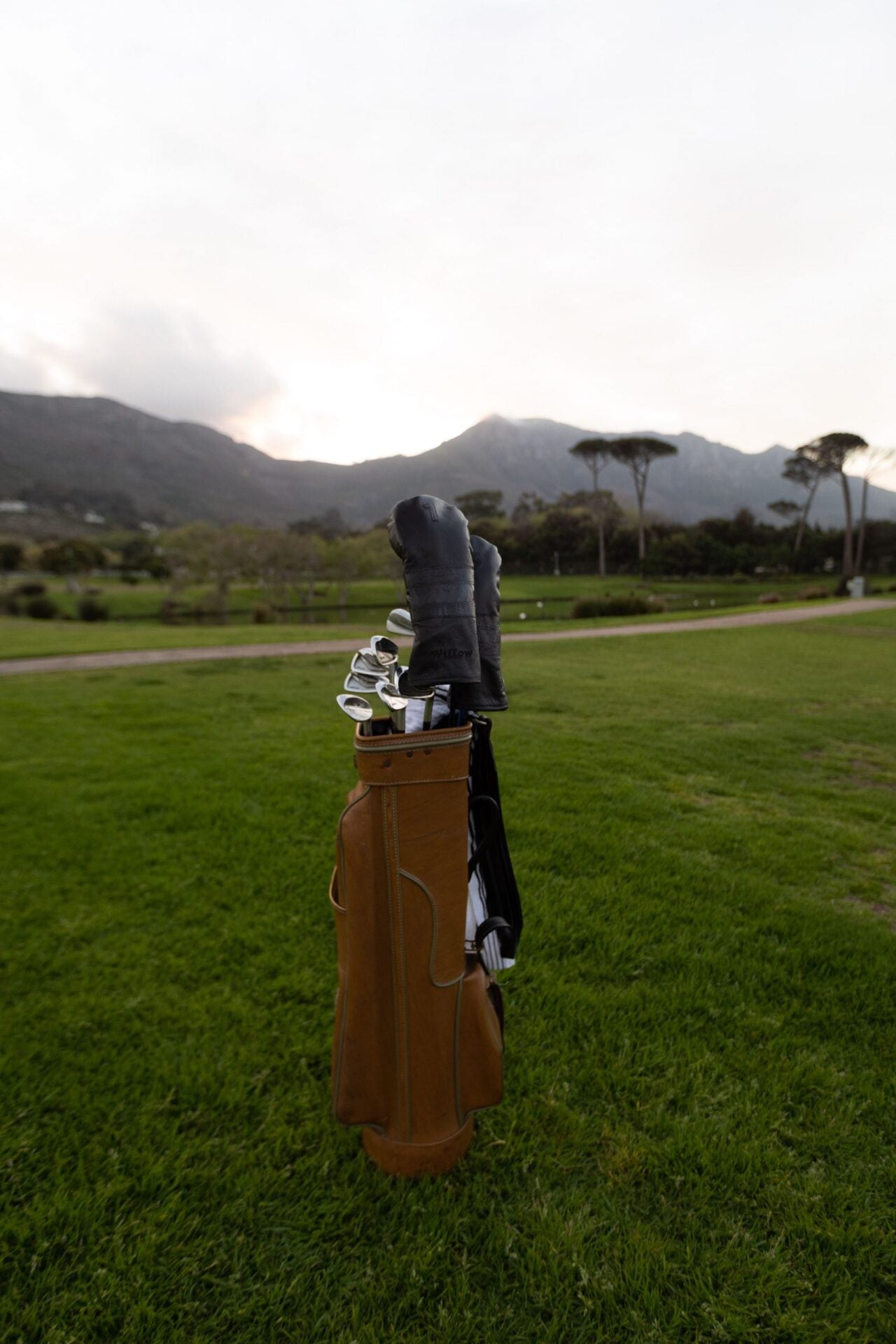 Black on Black Headcover