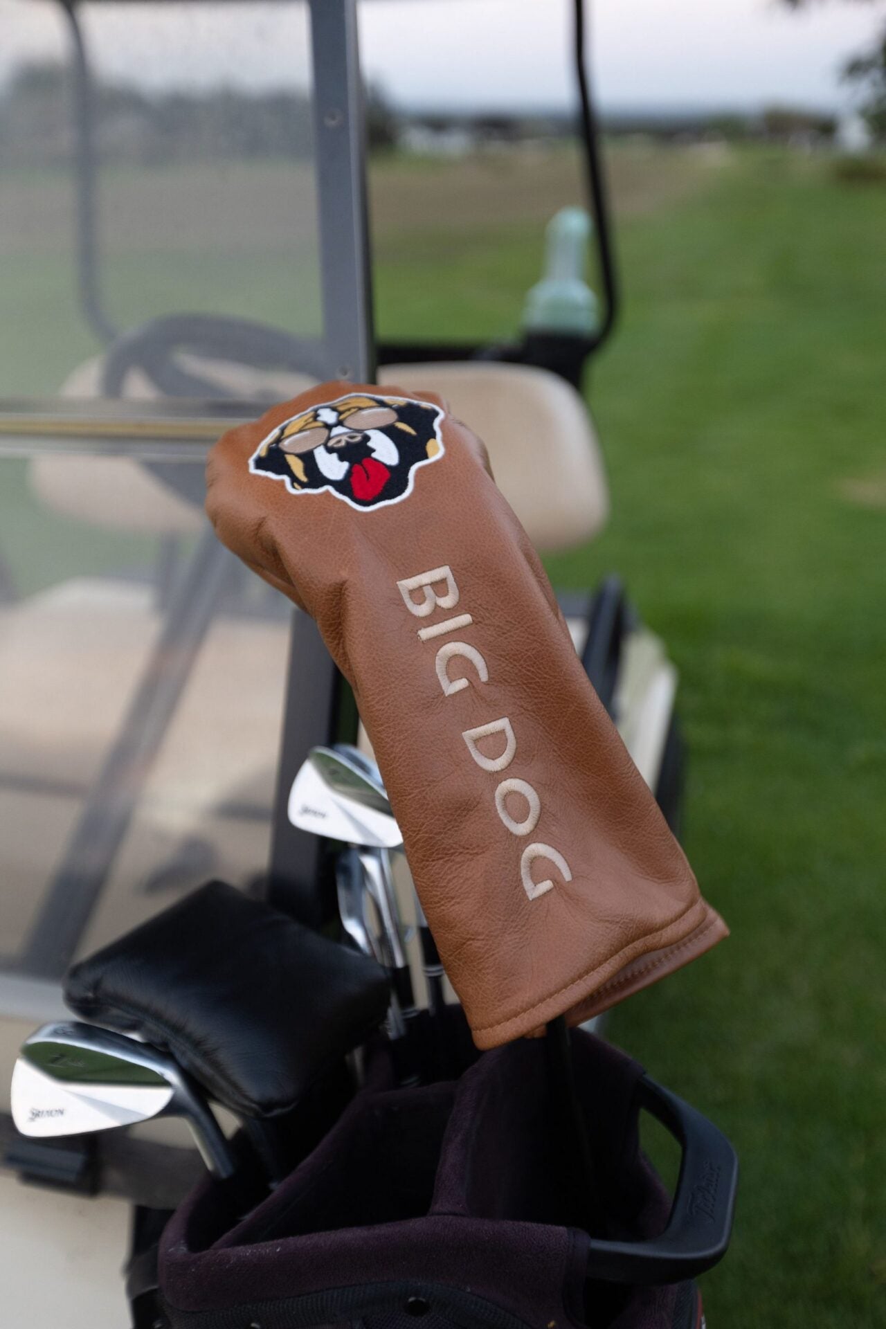 The Big Dog Headcover